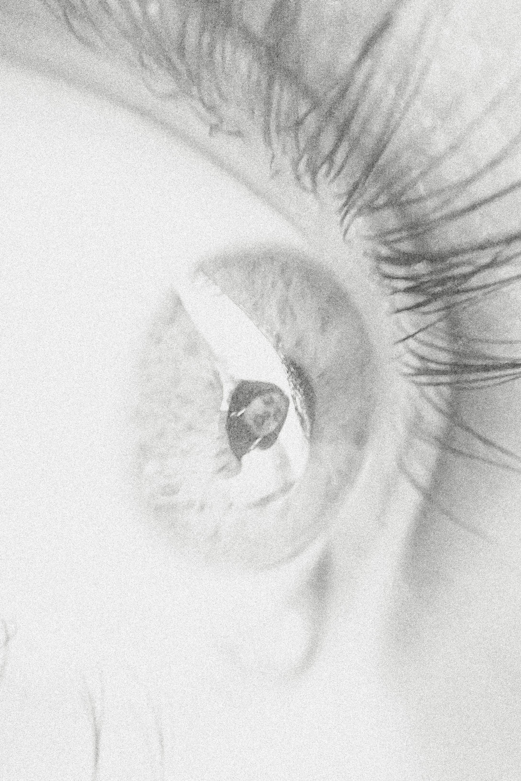 How I see you?